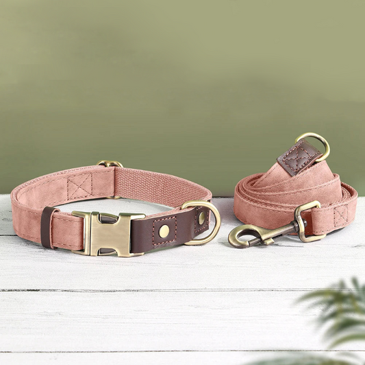 Leather Collar & Leash