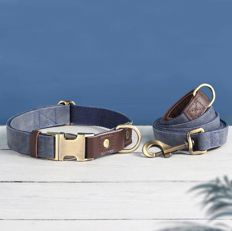 Leather Collar & Leash