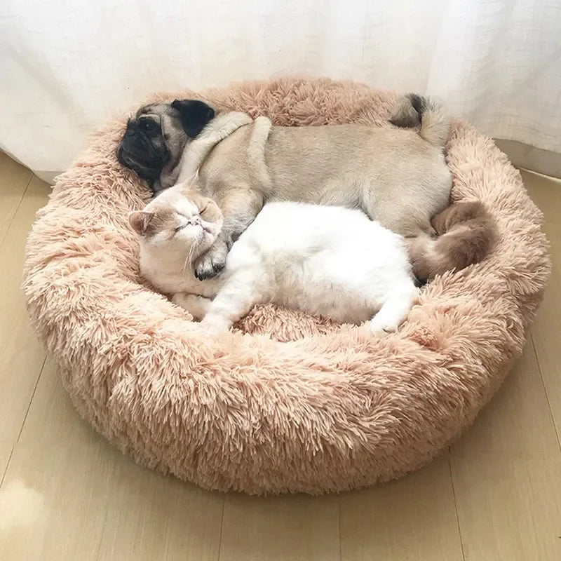 Calming Cuddle Bed