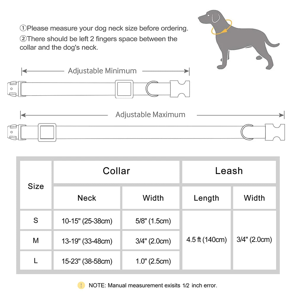 Leather Collar & Leash