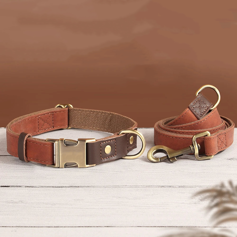 Leather Collar & Leash